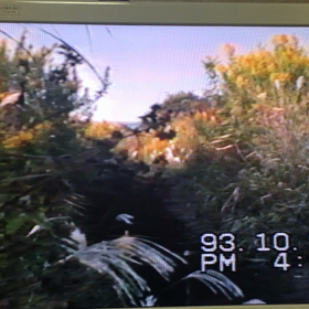 懐かしビデオの画像