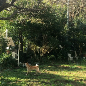 リッスンの画像