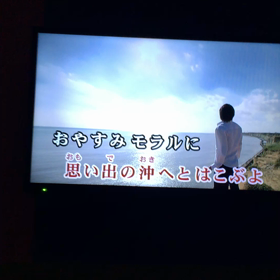 ＊ヒトカラ＊の画像