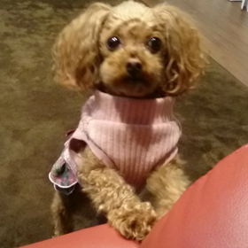 おねだりしてます(^^)の画像