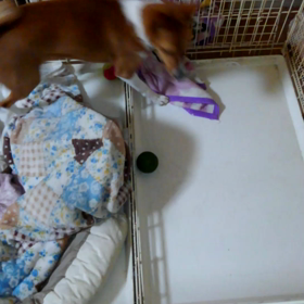 エンドレス　エンの画像