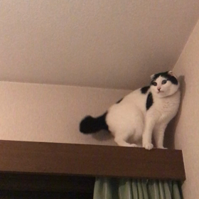 それぞれの居場所の画像