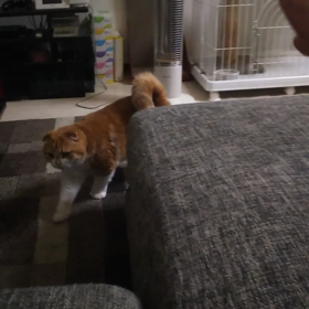 *筋肉痛がきた(泣)*の画像