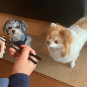 菌活生活の画像