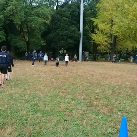 ダッシュ(緑チーム)⑮の画像