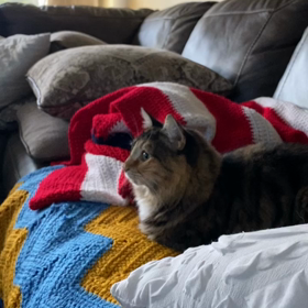 テレビを見るHanaの画像