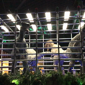 ユニバーサル・スペクタクル・ナイトパレード〜ベスト・オブ・ハリウッド〜（ジュラシック）の画像