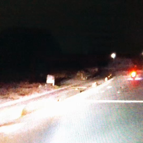 鹿に遭遇の画像