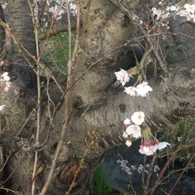 いい時間の画像