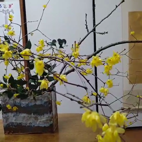 テーマ　枝の線をいかすの画像