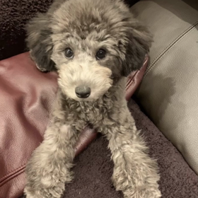 宇野樹君インスタストーリーより　パワフル過ぎで大変　流石、スイス　練習に出れるのか？の画像