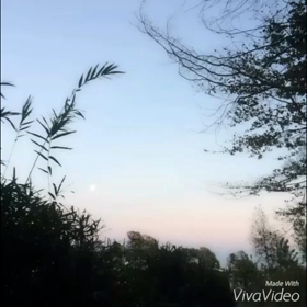 ハロ/ハワユ /ナノウの画像