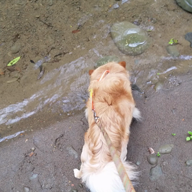 休日(ドライブ編1)の画像