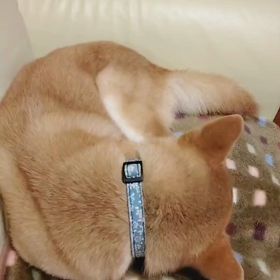 泣いてるのの？の画像