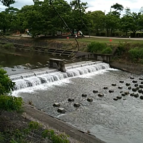 梅雨の晴れ間の画像
