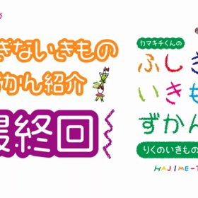 ふしぎないきものずかん紹介最終回！の画像