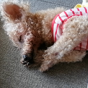 痙攣が増えてますの画像