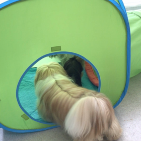 ♪プレイルーム動画♪①の画像