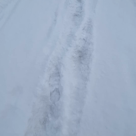 早期発見の画像