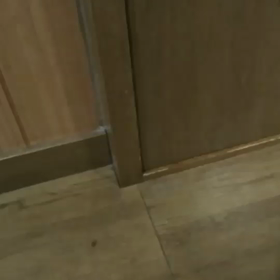 引き戸も平気さの画像