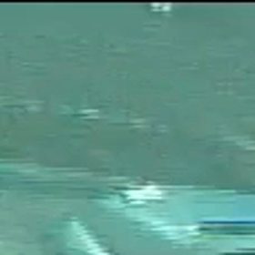 猫！どこに行くの？の画像