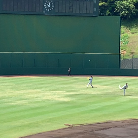 2週間が経っての画像