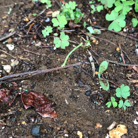 働くという事の意義の画像