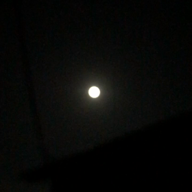 中秋の名月の画像