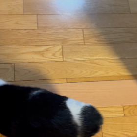 毎日が最高なプレゼントの画像