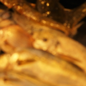 今日は動画を…の画像