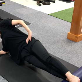 サイドプランクアップダウンの画像