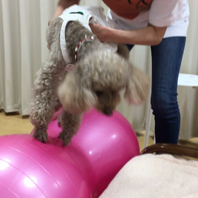 いつもながら。の画像