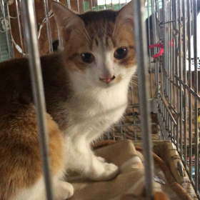 第3陣！！の画像