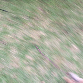 猟、始めましたの画像