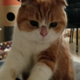 *そろそろ行きたい～*の画像