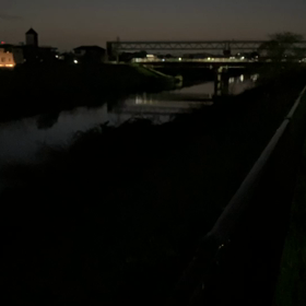 夜のお散歩、大好き(^^)の画像