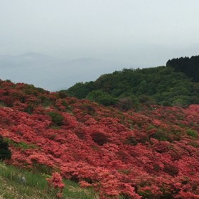 動画で…♡の画像