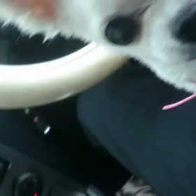 北海道の手配の画像