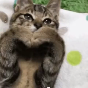 11/10☆ジェジュンインスタの画像