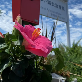 ライフスタイルとゴール設定。明日は11:30〜21:00の間予約可能です。の画像