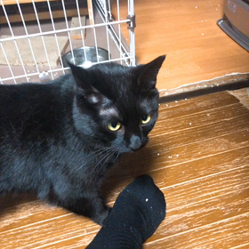 変質者また現るの画像