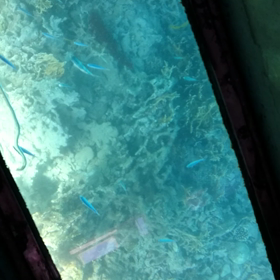 川平湾☆動画☆の画像