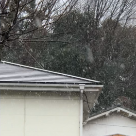 みぞれが降っていますの画像