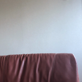 オリンピックが…肺炎の持病が…今朝のデール動画。の画像