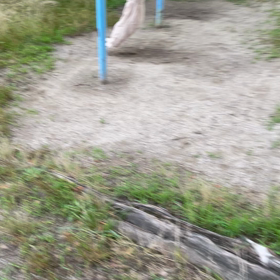 久しぶりの逆上がりの画像