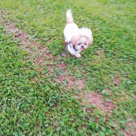 遊ぼう♪の画像