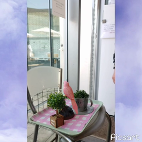 置物のインコの画像