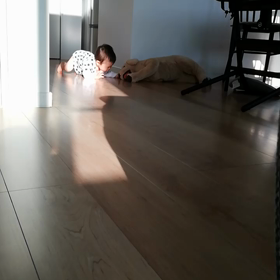 ランと遊ぶ♫の画像