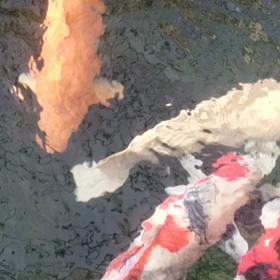 わおわお～の画像