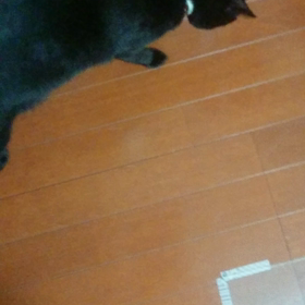 ナスビdeサッカーの画像